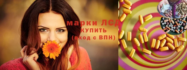 стаф Аркадак