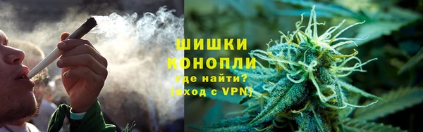 стаф Аркадак