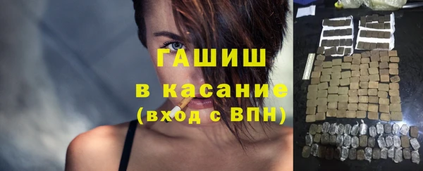 стаф Аркадак