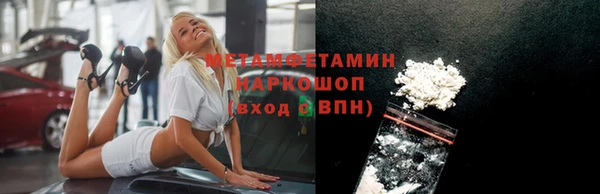 стаф Аркадак