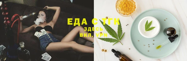 стаф Аркадак