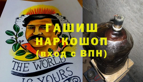 стаф Аркадак