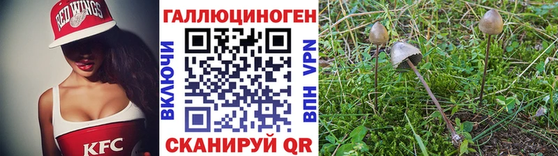 магазин продажи   мориарти клад  Галлюциногенные грибы ЛСД  Тогучин 
